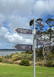 Port Arthur Lavender