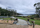 Port Arthur Lavender