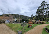 Port Arthur Lavender