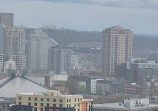 Seattle Panoramic View