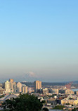 Seattle Panoramic View