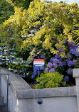 Seattle Panoramic View