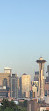 Seattle Panoramic View