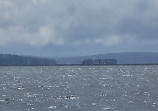 Boat Tours Seattle