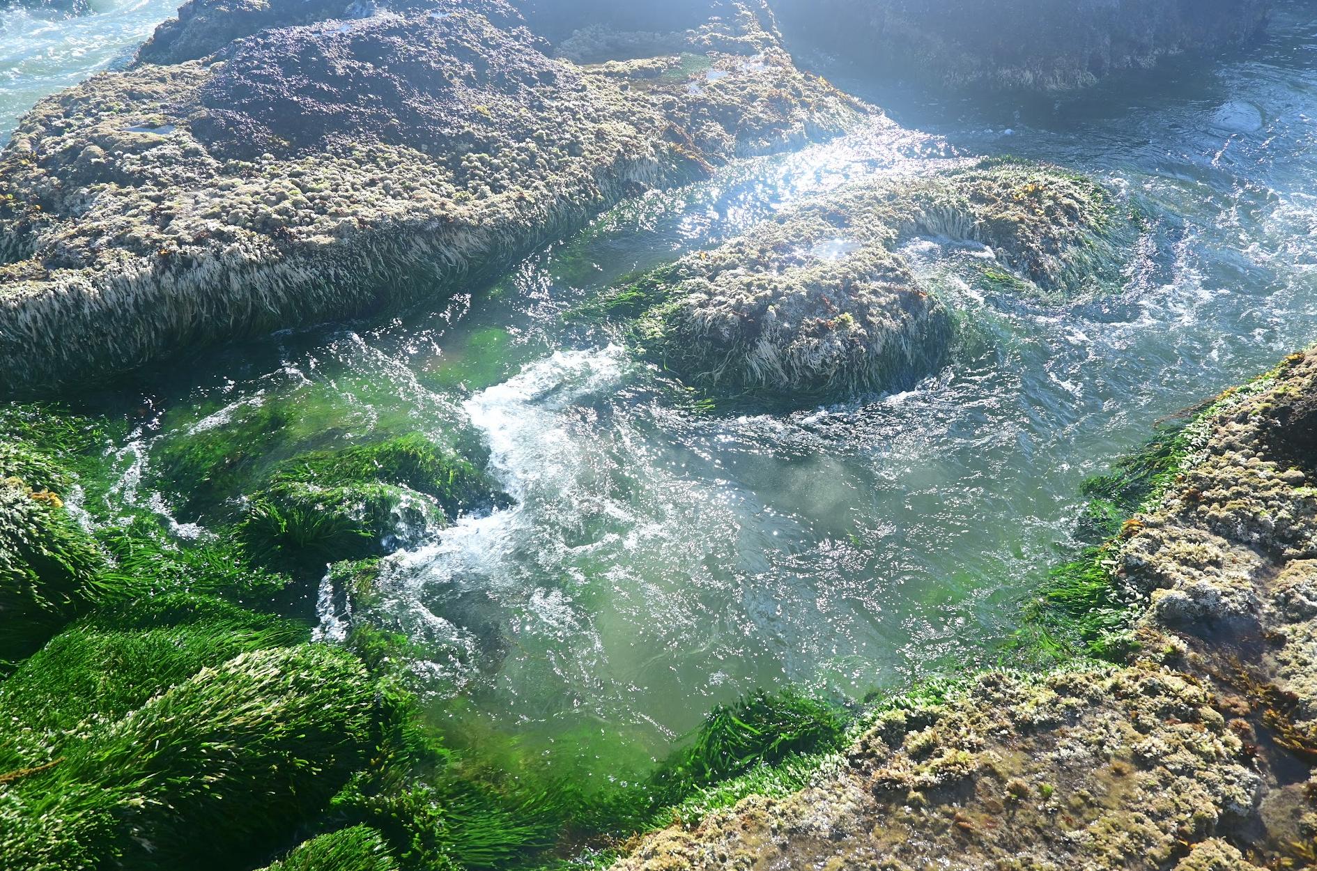 Plage des grottes