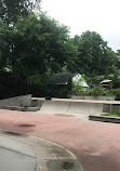 Mount Rainier Skatepark