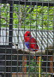 Birmingham Wildlife Conservation Park