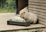 Birmingham Wildlife Conservation Park