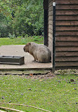 Birmingham Wildlife Conservation Park