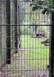 Birmingham Wildlife Conservation Park