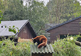 Birmingham Wildlife Conservation Park