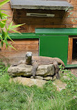 Birmingham Wildlife Conservation Park