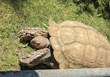 Birmingham Wildlife Conservation Park