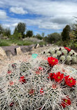 Orton Botanical Garden