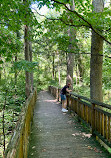 Fern Valley Native Plant Collection