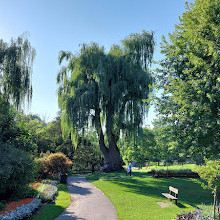 Edwards Gardens