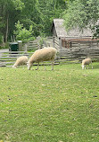 Black Creek Pioneer Village