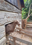 Black Creek Pioneer Village