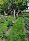 Black Creek Pioneer Village