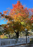 Black Creek Pioneer Village