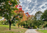 Black Creek Pioneer Village