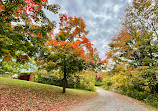 Black Creek Pioneer Village