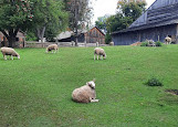 Black Creek Pioneer Village