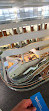 Toronto Public Library - North York Central Library