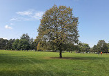 Earl Bales Park