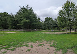 Earl Bales Park