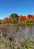 Earl Bales Park trails