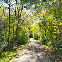 Earl Bales Park Trails