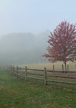 Earl Bales Park trails