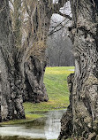 Earl Bales Park trails