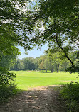 Earl Bales Park trails