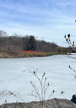 Earl Bales Park trails