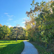 Earl Bales Park Trails