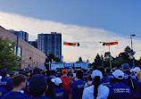 Mel Lastman Square Rink