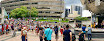 Mel Lastman Square Rink