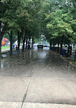 Mel Lastman Square Rink