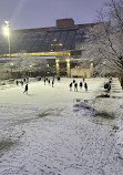 Mel Lastman Square Rink