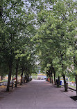 Mel Lastman Square Rink