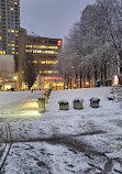 Mel Lastman Square Rink