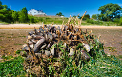 Cliffwood Beach Waterfront Park