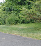 Cliffwood Beach Waterfront Park