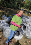 Cleveland Park Community Garden