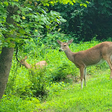 Twinbrook Connector Trail