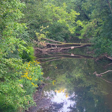 Twinbrook Connector Trail