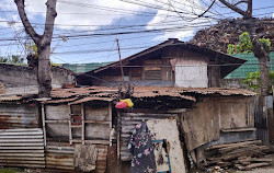 قرية إيبولا