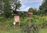 Laurel Hill Mountain Bike Trails